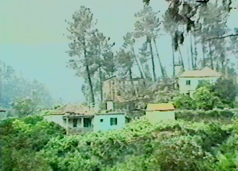 Incêndio florestal no Concelho de Águeda
