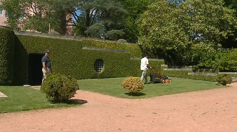 Manutenção dos jardins de Serralves