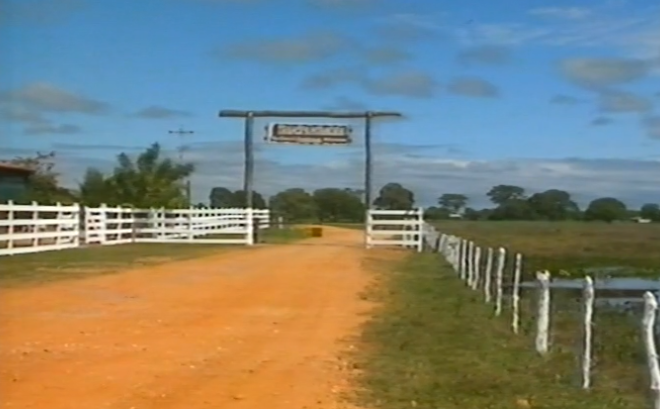 Telenovela Pantanal