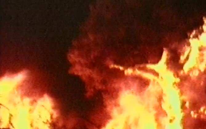 Incêndio florestal em Vale de Cavalos