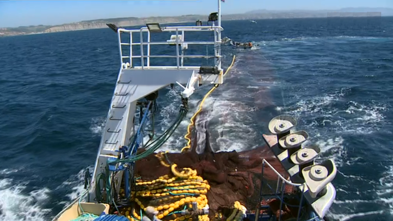RTP na faina da pesca