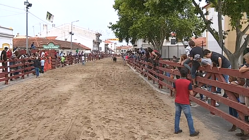 Festa da Amizade – Sardinha Assada de Benavente