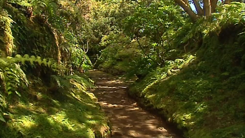 30 anos do Jardim Botânico do Faial