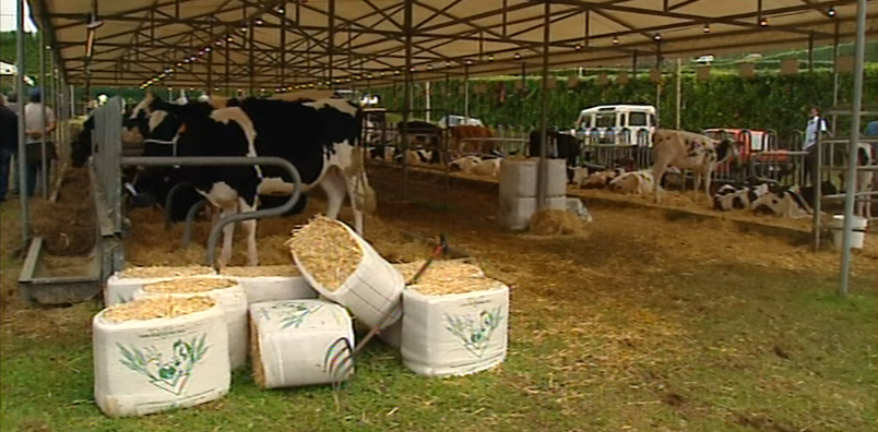 “Encontro do Mundo Rural” no Faial