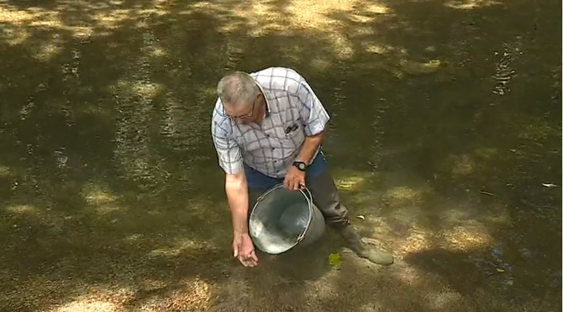 Repovoamento de trutas na praia fluvial de Outoreça