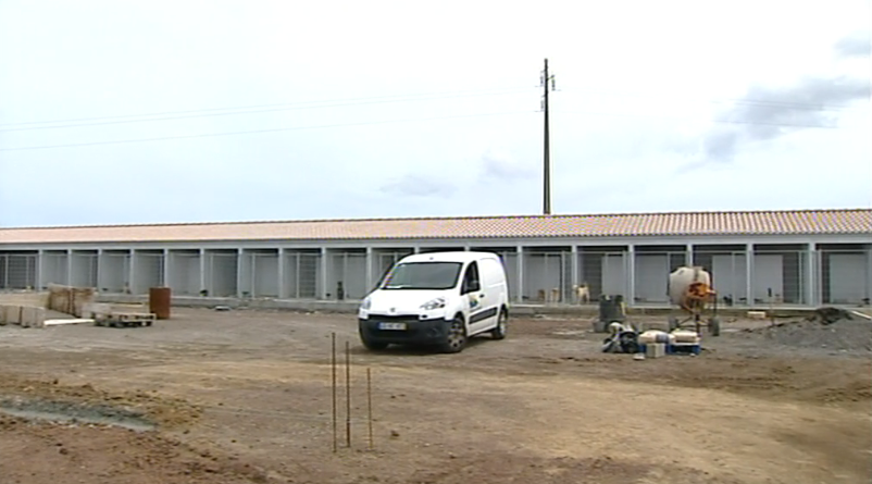 Construção de Canil na Ribeira Grande