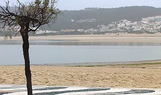 Intervenção de emergência na Lagoa de Óbidos I