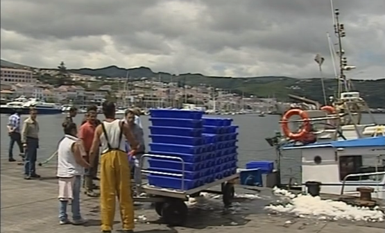 Valores de captura de pescado em 2013 nos Açores