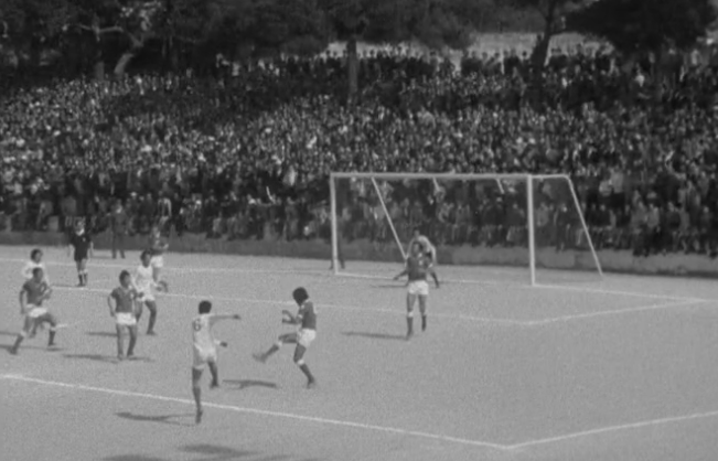 Futebol: Vianense vs Benfica