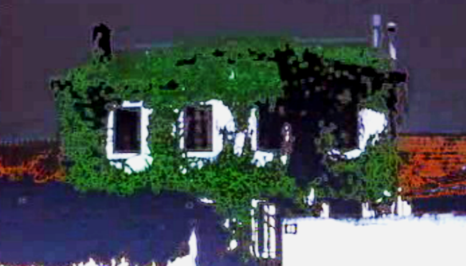 A Marquesa de Vila Rica