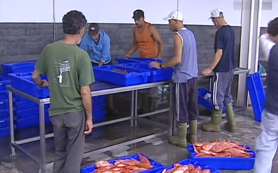 Cooperativa “Porto de Abrigo” quer medidas de proteção ao setor das pescas