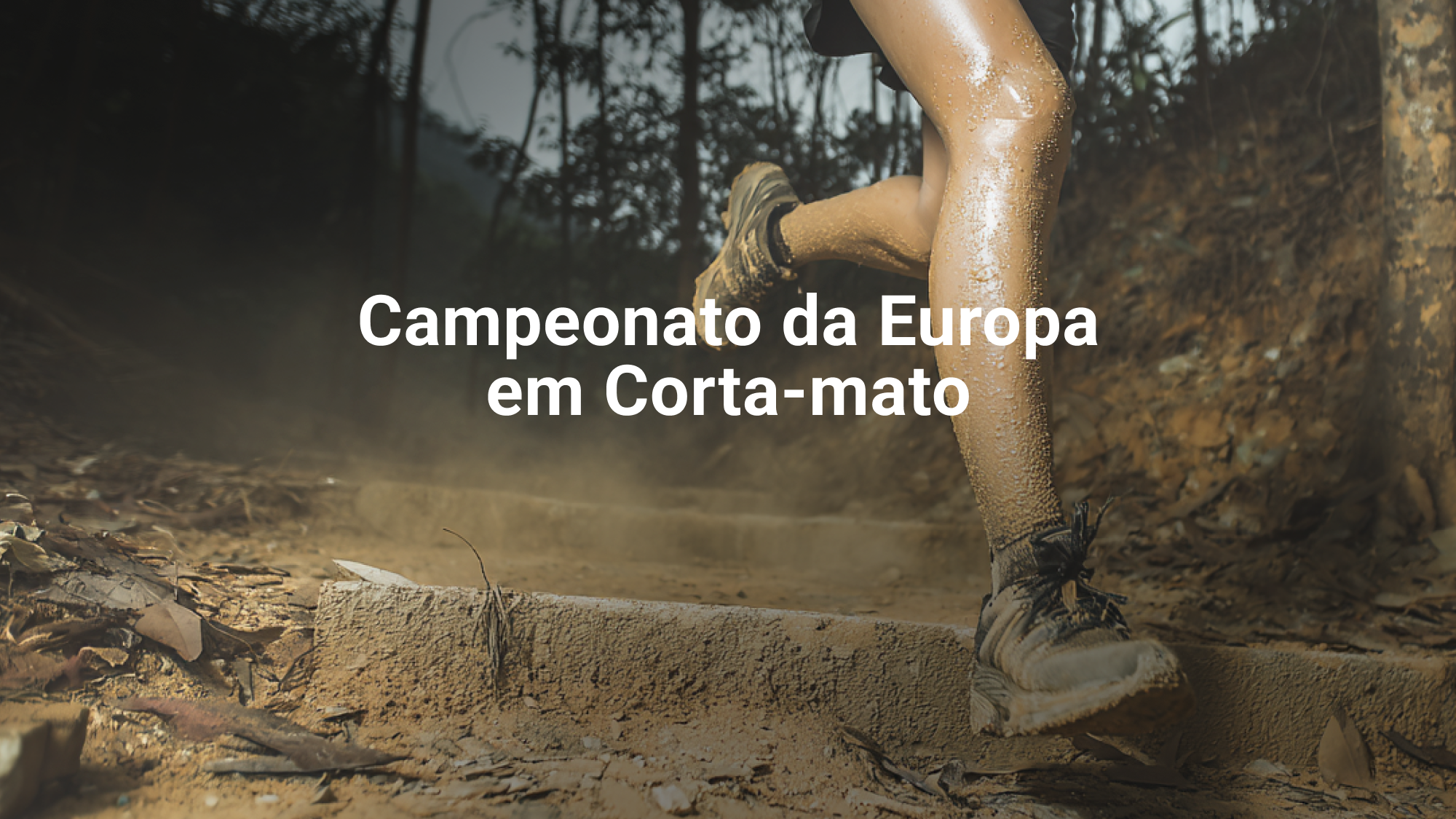 Imagem de RTP Desporto 1