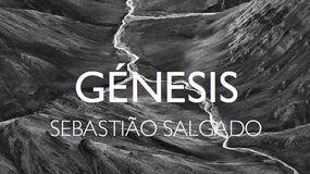 Imagem de Sebastião Salgado: “Génesis”