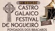 Imagem de Castro Galaico Festival de Nogueiró 2015