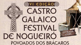 Imagem de Castro Galaico Festival de Nogueiró 2015
