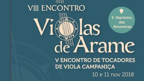 Imagem de VIII Encontro de Violas de Arame e Tocadores de Viola Campaniça