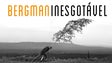 Imagem de Ciclo Bergman
