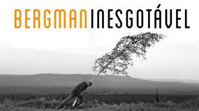 Imagem de Ciclo Bergman