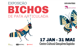 Exposição “Bichos de Pata Articulada”