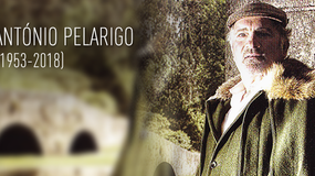 Imagem de António Pelarigo (1953-2018)