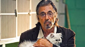 Imagem de “O Senhor Manglehorn” – Filme Antena 1