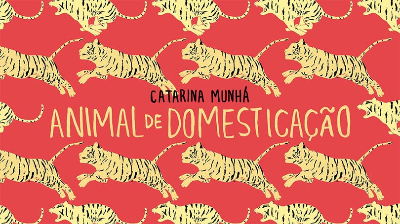 Catarina Munhá – “Animal de Domesticação”