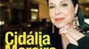 Apoio A1: Cidália Moreira