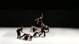 Imagem de “Venezuela” – Batsheva Dance Company