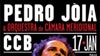 Imagem de Concerto A1: Pedro Jóia