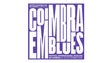 Imagem de Festival Internacional Coimbra em Blues