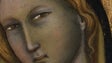 Imagem de MADONNA – Tesouros dos Museus do Vaticano