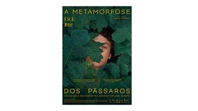 “A Metamorfose dos Pássaros” de Catarina Vasconcelos