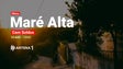Maré Alta – A Antena 1 em direto de Cem Soldos (14 agosto)