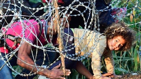 Imagem de S.O.S. Refugiados