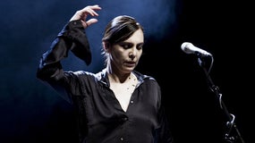 Imagem de Adriana Calcanhotto apresenta espetáculo “Das Rosas” em Portugal