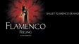 Ballet Flamenco de Madrid em Lisboa