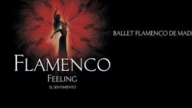 Ballet Flamenco de Madrid em Lisboa