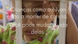 Imagem de Projeto Amélia