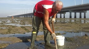 Imagem de “Mar da Palha, Zona C” – Prémio Gazeta de Rádio