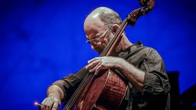 Imagem de Jaques Morelenbaum CelloSambaTrio: a história do Samba