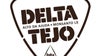 Apoio A1: Festival Delta Tejo 09