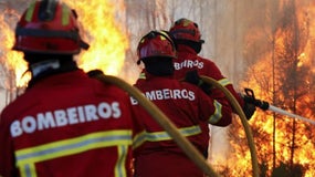 Cáritas ajuda as vítimas dos Incêndios