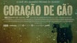 “Coração de Cão”, Filme Antena1