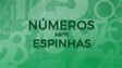 Imagem de “Números sem Espinhas”  com Isabel Stilwell e Alexandra Almeida Ferreira