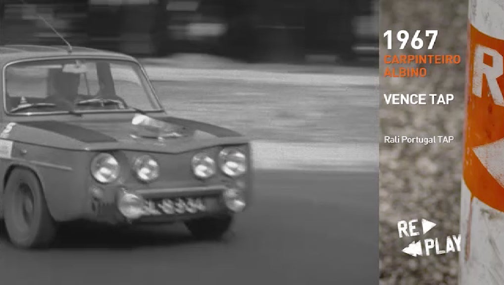 CARPINTEIRO ALBINO VENCE TAP por Rui Alves