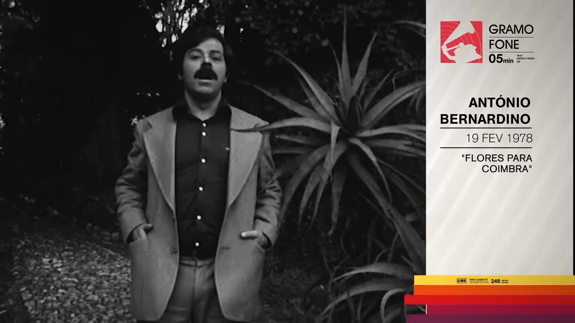 ANT�NIO BERNARDINO por Jo�o Carlos Callixto