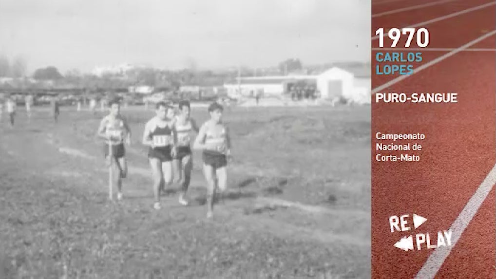 PURO-SANGUE por Rui Alves