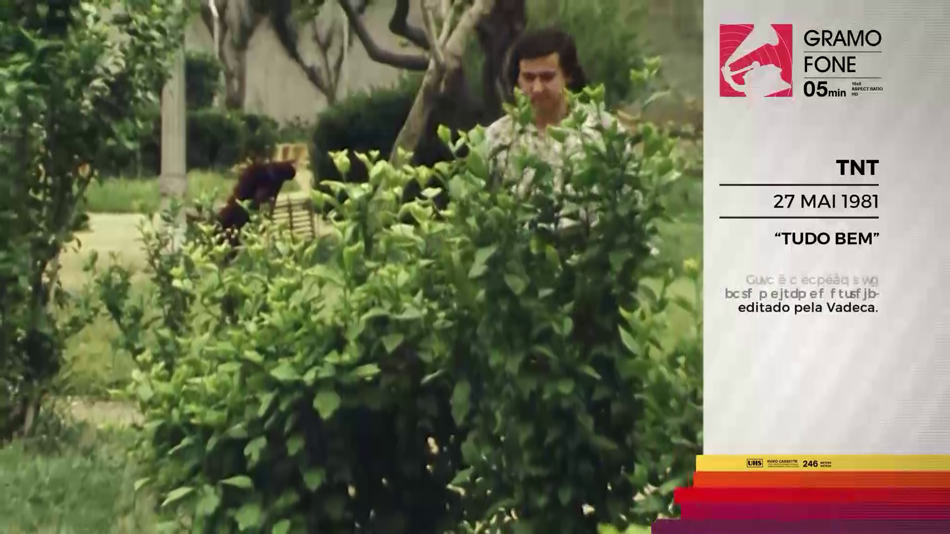 TNT, por Jo�o Carlos Callixto