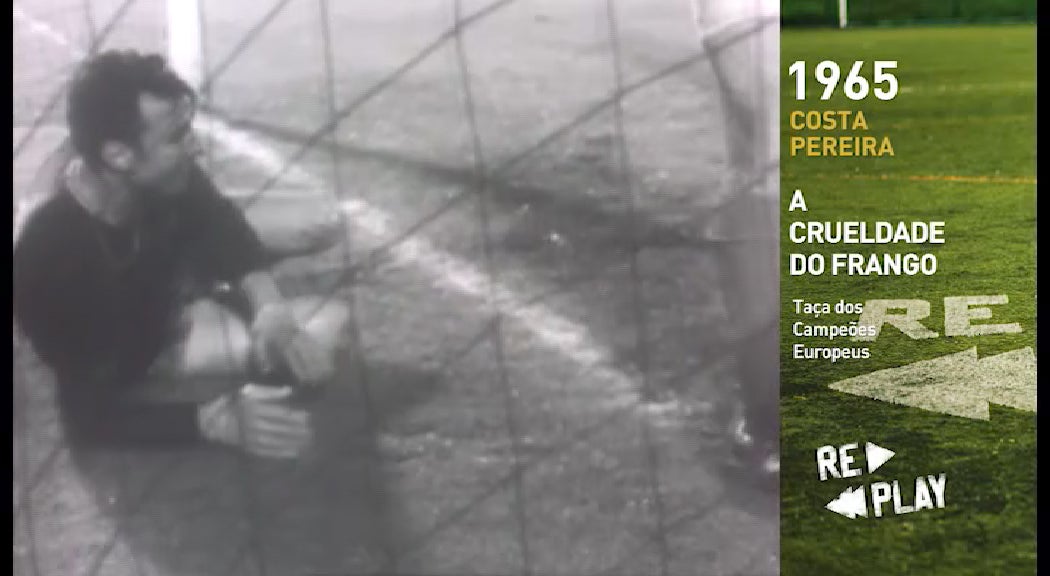 A CRUELDADE DO FRANGO por Rui Alves