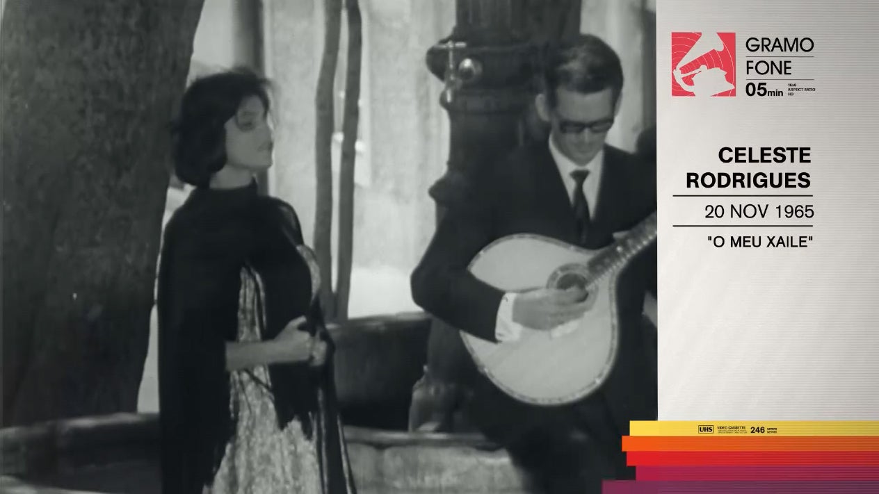 CELESTE RODRIGUES por Jo�o Carlos Callixto